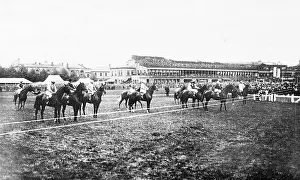 Doncaster: Horses at starting line, Doncaster racecourse