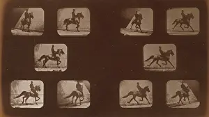 Edgington: Horses. Trotting