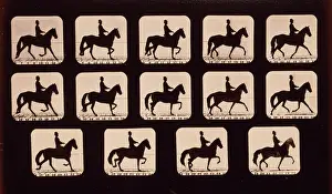 C1881: Horses. Trotting