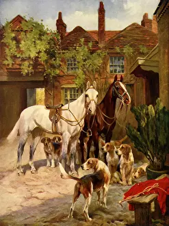 Saddled: Horses Wait with Dogs