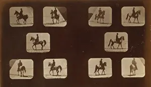 Mahomet: Horses. Walking