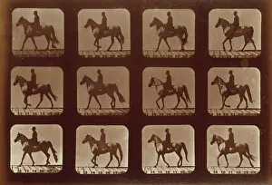 C1881: Horses. Walking