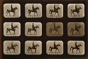 C1881: Horses. Walking