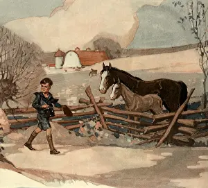 Paddock: Horses Watch Boy