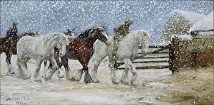 Godderidge: Horses in Winter ' with snow falling