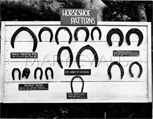 Zennor: HORSESHOE PATTERNS