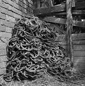 Horseshoes: Horseshoes