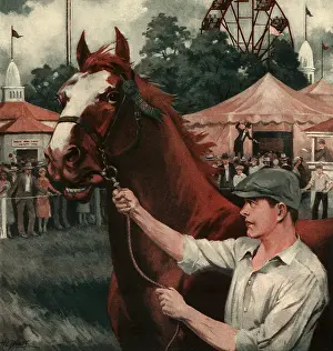 Equines: Horseshow
