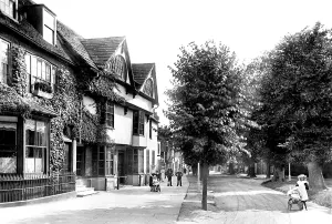 Horsham: Horsham, The Causeway 1901