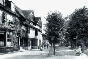 Horsham: Horsham, The Causeway 1901