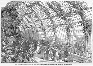 Horticultural: Horticultural Society conservatory, Chiswick, London 1850