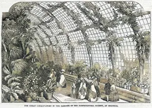 Horticultural: Horticultural Society conservatory, Chiswick, London 1850