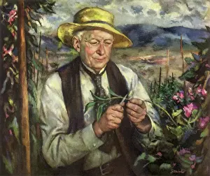 Breeder: Horticulturist Burbank