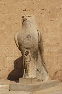 Edfu: Horus. Egypt