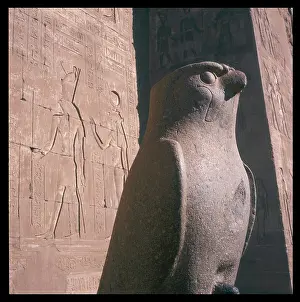 Edfu: HORUS THE FALCON GOD