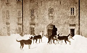 Bernards: Hospice of the Great Saint Bernard, Switzerland, early 1900s
