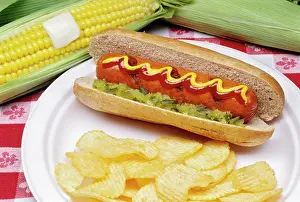 Relish: Hot Dog and Potato Chips and Corn on the Cob Ready for Su