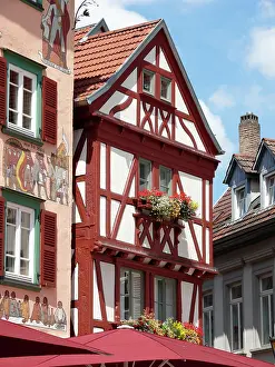 Carp: Hotel building, Eberbach, Baden Wurttemberg, Germany