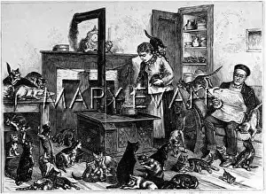 Maintains: HOTEL FOR CATS, NY