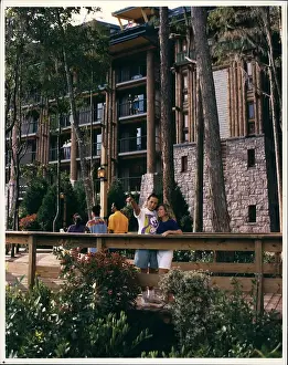 Geyser: Hotels - Resorts - Roller Coaster - Theme Parks
