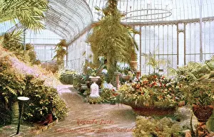 Botanic: Hothouse interior, Botanic Gardens, Regents Park, London