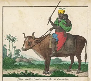 Hottentot: Hottentot on Ox