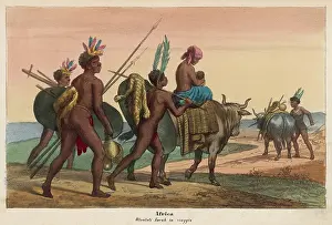 Hottentot: HOTTENTOTS TRAVELING