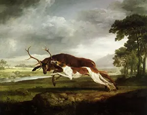 Leaps: Hound Coursing a Stag, by Stubbs