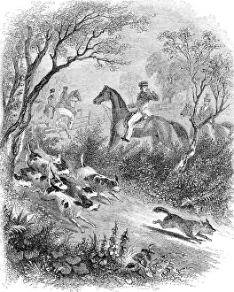 Pooch: Hounds Chasing Closing in on the Hunted Fox As