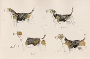 Ramrod: Four hounds of the Cheshire Hunt