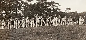 Foxhunt: Hounds of the Cheshire Hunt