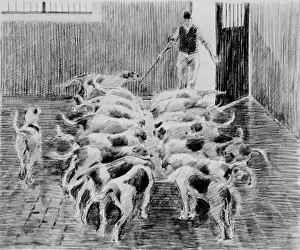 Polhill: Hounds feeding