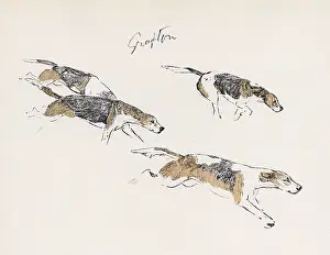 Foxhunt: Hounds of the Grafton Hunt in action
