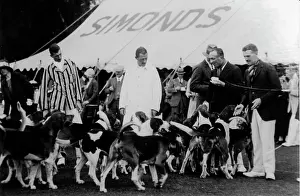 Foxhound: Hounds and Hunt, England