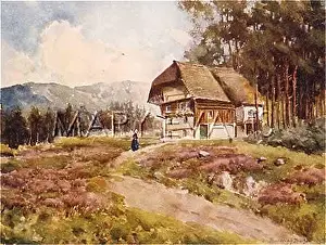 Schwarzwald: HOUSE IN BLACK FOREST