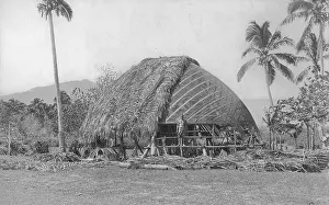 Samoa: House building in Samoa, 1903