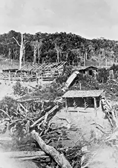 Cleared: House construction of ethnic German immigrants in Brazil