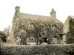 Gardener: House covered in ivy