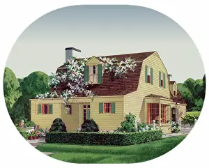 Shutters: House, Flowering Vine