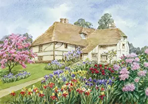 House with Iris Beds " garden