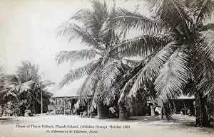 Mangrove: House of Pierre Gilbert - Picault Island, Aldabra Group