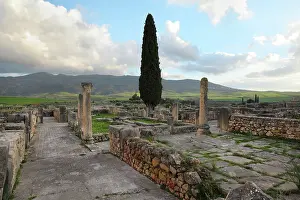 Walili: House of the Procession of Venus, Volubilis