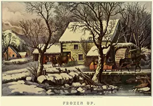 Boonies: House in Winter with Oxen