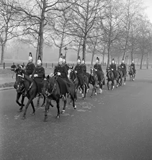 Leafless: Household Cavalry