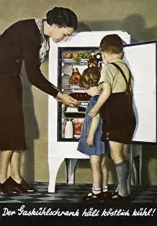 Kitchenware: household, kitchen / kitchenware, refrigerator