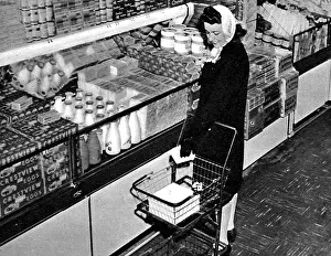 Checkout: Household Shopping without Tears
