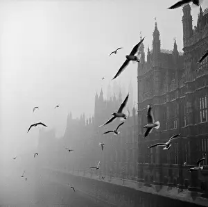 Smoggy: Houses Of Parliament