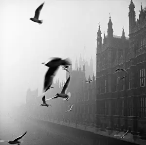Smoggy: Houses Of Parliament