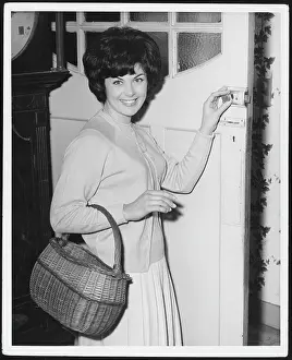 Housewives: HOUSEWIFE/BASKET