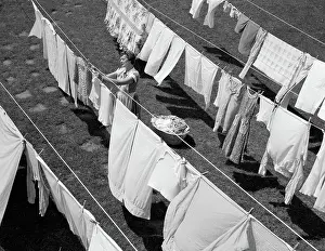 Bedspread: Housewife hanging laundry in backyard